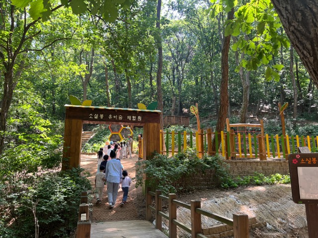 6. 용인특례시가 보라유아숲과 소실봉유아숲 시설정비를 마무리했다..jpg