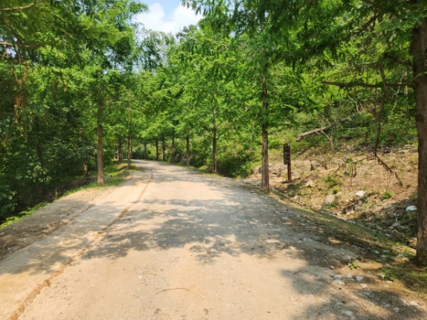1-1. 용인특례시는 처인구 왕산리 산93번지 일원 숲길의 맨발길 종점에서 간이 세족장까지 이어지는 산책로를 새롭게 .jpeg
