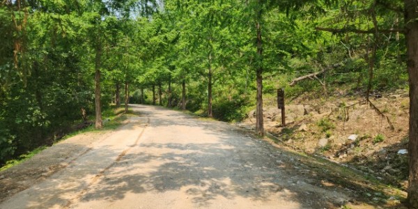 1-1. 용인특례시는 처인구 왕산리 산93번지 일원 숲길의 맨발길 종점에서 간이 세족장까지 이어지는 산책로를 새롭게 .jpeg