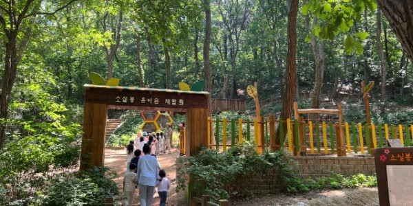 6. 용인특례시가 보라유아숲과 소실봉유아숲 시설정비를 마무리했다..jpg