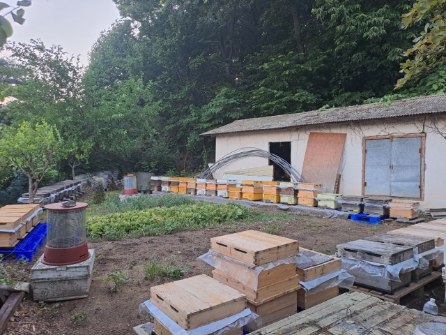 2-1. 용인특례시 양봉 농가 사진.jpg