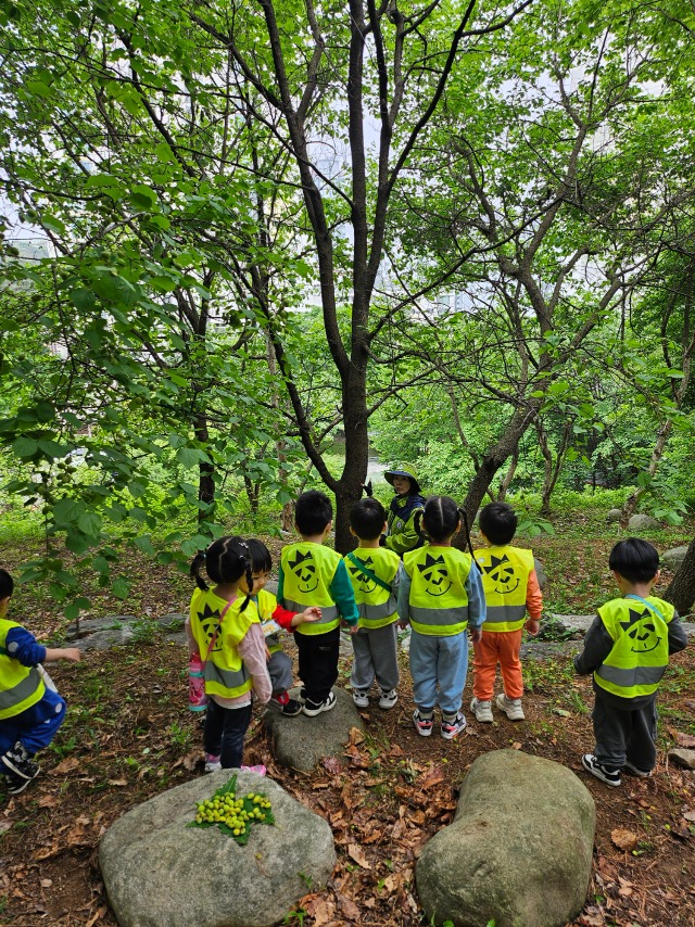 4. 용인특례시에서 지난해 진행한 유아숲체험 프로그램 현장 사진.jpg