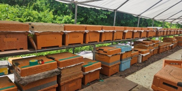 1. 용인특례시 스마트 벌통을 설치한 양봉농가 사진.jpg