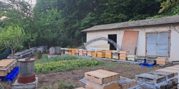 2-1. 용인특례시 양봉 농가 사진.jpg