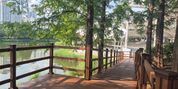 4-1. 동백호수공원에 신설된 데크길.jpeg