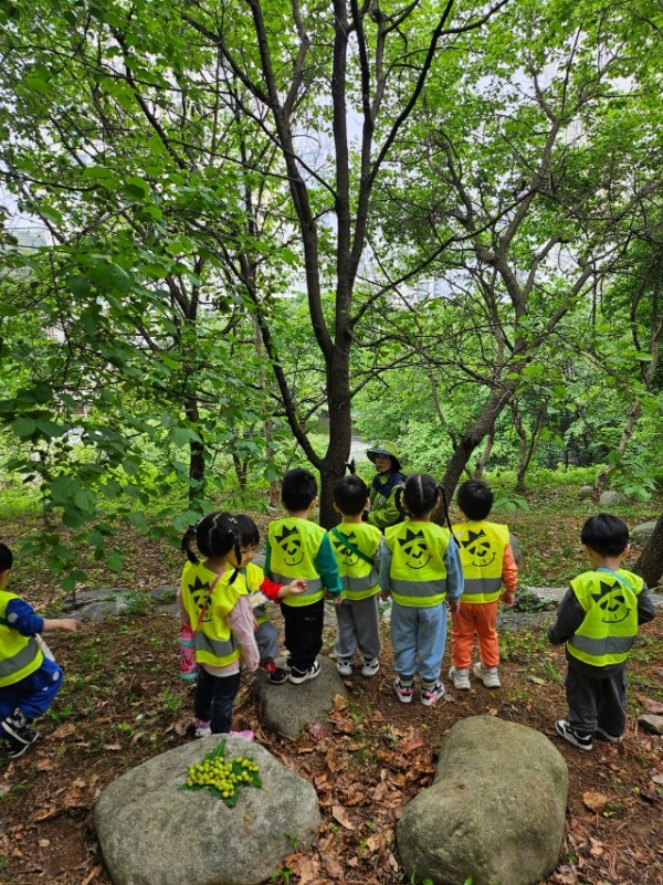 4. 용인특례시에서 지난해 진행한 유아숲체험 프로그램 현장 사진.jpg