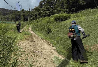 6-1. 처인구는 공설‧공동묘지 14곳에서 제초 작업을 했다. 사진은 창리공동묘지.jpg