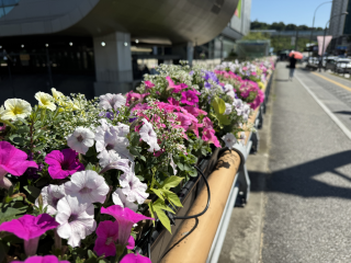 7. 기흥역 앞 구갈2교 교량화분.png