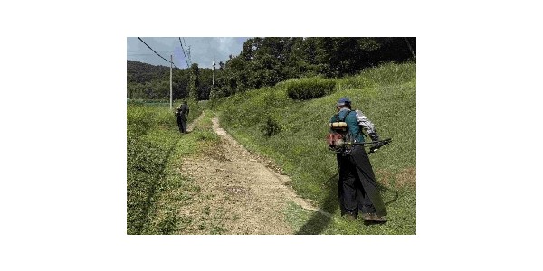 6-1. 처인구는 공설‧공동묘지 14곳에서 제초 작업을 했다. 사진은 창리공동묘지.jpg