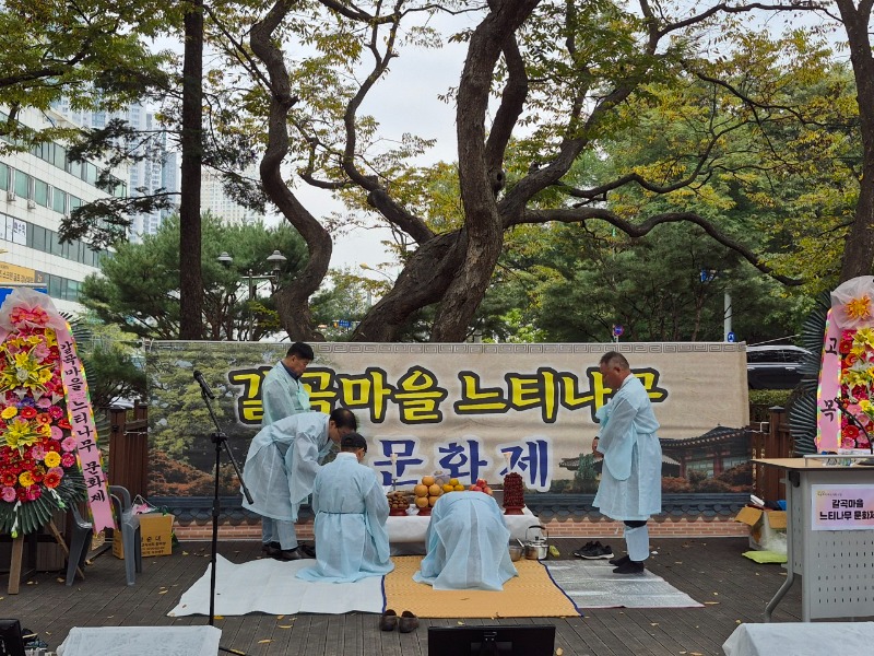 2. 용인특례시 갈곡마을 느티나무 문화제.jpg