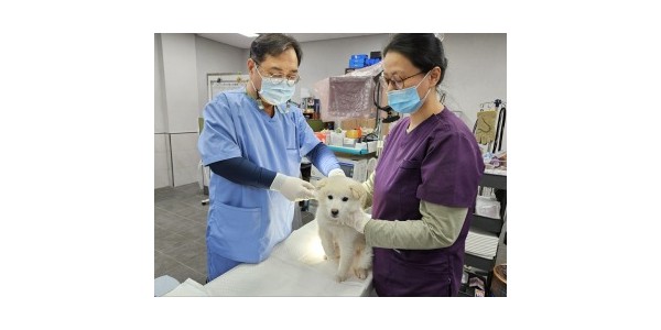 3. 용인특례시가 하반기 광견병 예방접종을 실시한다..jpg