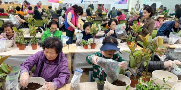 4-1. 용인특례시는 생활개선회 재능기부로 홀로어르신 대상 반려식물 모듬심기 체험 프로그램을 진행했다.jpeg