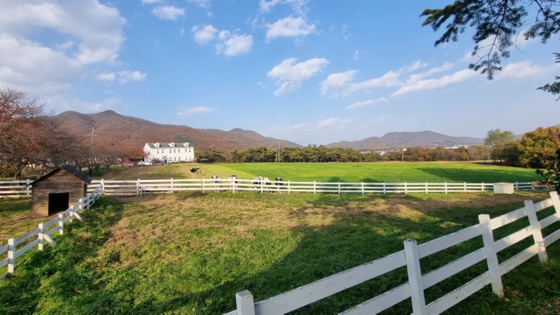 5. 전국 최우수 친환경 농장으로 선정된 _농도원목장_.jpg