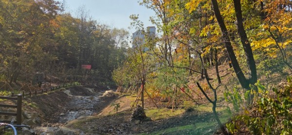 1-1. 용인특례시가 수지구 죽전동에 조성한 도시 숲 모습.jpg