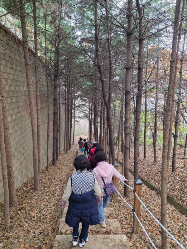 2. 용인특례시 보건소 건강걷기 프로그램에 참여 중인 시민들.jpg