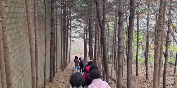 2. 용인특례시 보건소 건강걷기 프로그램에 참여 중인 시민들.jpg