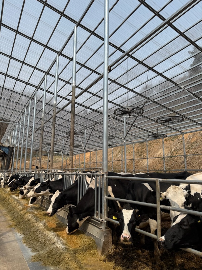 2. 용인트례시가 2026년 축산분야 생산지원사업 희망 농가를 모집한다..jpg